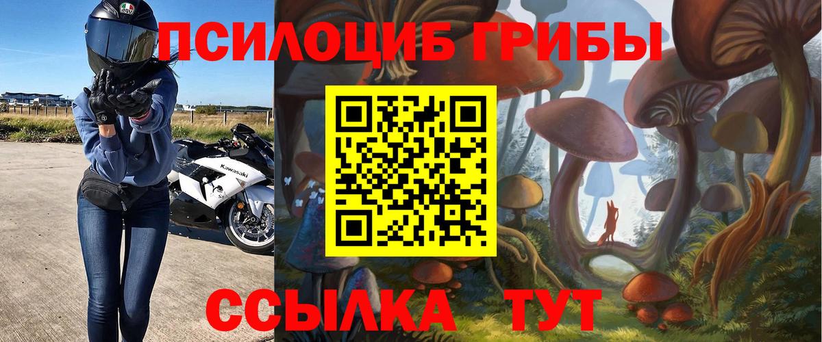 Псилоцибиновые грибы ЛСД  Галлюциногенные грибы Psilocybe  Алушта  Вход с VPN 